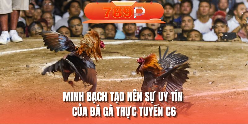 Minh bạch tạo nên sự uy tín của đá gà trực tuyến C6
